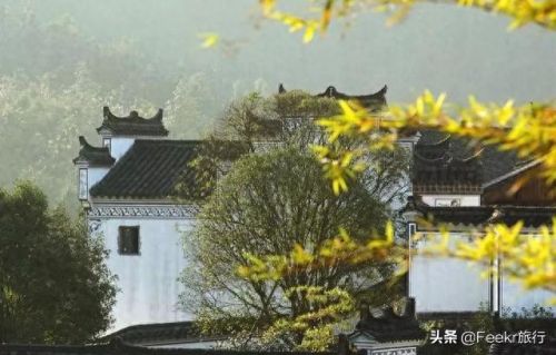 武义老店美食排名前十(武义手工面老店)插图12 武义老店美食排名前十(武义手工面老店)插图12