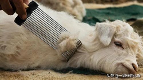 男士围巾品牌十大排行榜(围巾男士品牌排行榜)插图5 男士围巾品牌十大排行榜(围巾男士品牌排行榜)插图5