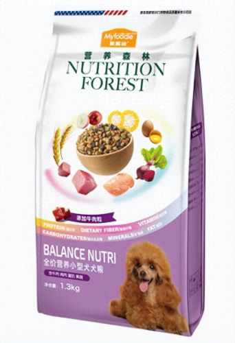 十大最友好的狗排行榜国产(十大最便宜的狗排名榜)插图5