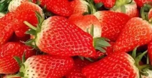 合肥十大水果品牌排行榜(合肥最好水果排名)插图5