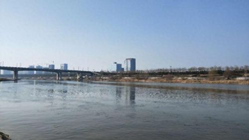 西安遛狗公司排名前十(西安遛狗事件最新消息)插图8 西安遛狗公司排名前十(西安遛狗事件最新消息)插图8