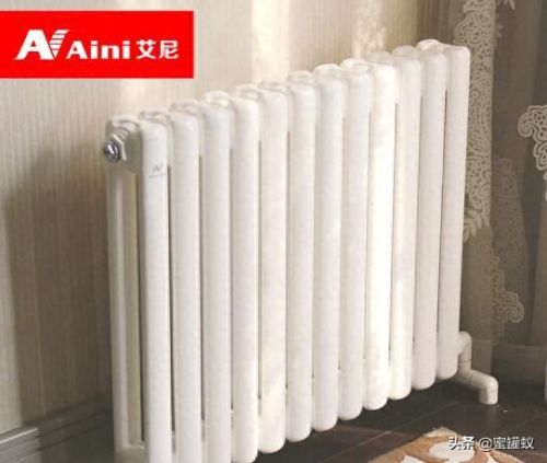 十大暖气片品牌排行榜图片(十大暖气片品牌)插图5