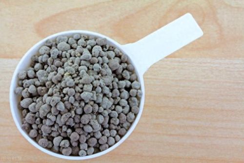 花卉控释肥十大排行榜(适合控释肥的花卉)插图11