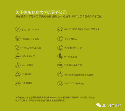 匈牙利医院数量排名前十(欧洲排名前十医院)插图3