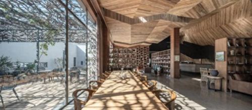 山西肉鸽销量排名前十(大熊养殖肉鸽)插图13 山西肉鸽销量排名前十(大熊养殖肉鸽)插图13