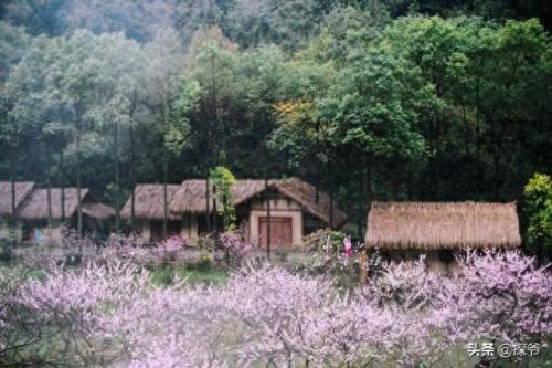 重庆黔江酒馆排名前十(曾相约的酒馆)插图8