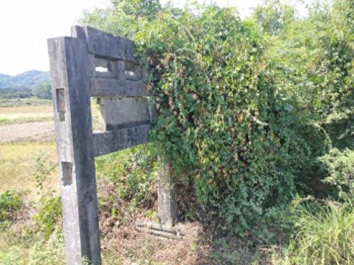 广西十大名牌坊排行榜最新(广西全州四大牌坊)插图5