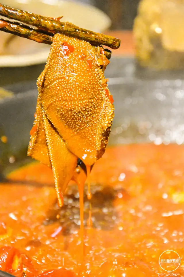 宁夏牛油火锅排名前十(红福人家手工牛油火锅)插图10 宁夏牛油火锅排名前十(红福人家手工牛油火锅)插图10