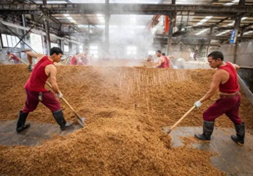 十大好吃的海鲜品种排行榜(十大海鲜主播排名)插图7