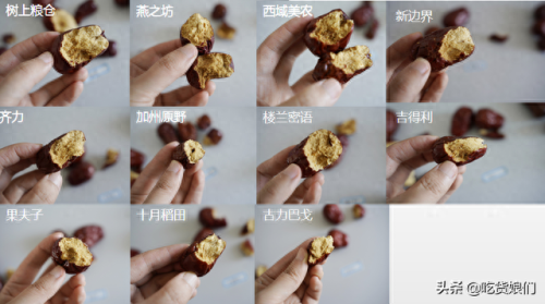 和田大枣品种排名前十(和田特级大枣)插图22 和田大枣品种排名前十(和田特级大枣)插图22