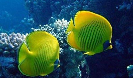 连云港十大景点排行榜最新(连云港必去三个景点)插图4