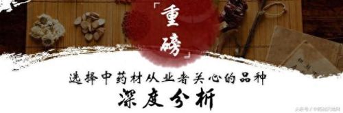 全球薄荷产量排名前十(薄荷全世界一年产量有多少)插图