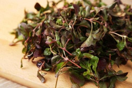 十大祛痘食物排行榜10强(有效祛痘的12种食疗)插图8 十大祛痘食物排行榜10强(有效祛痘的12种食疗)插图8