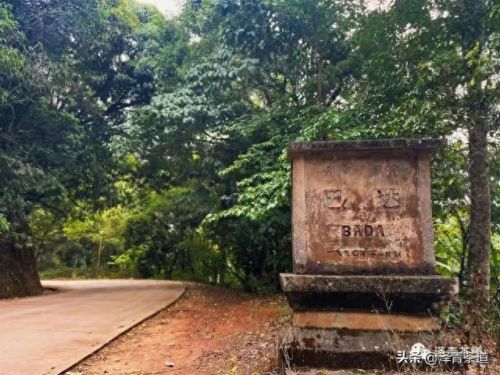 茶经排名前十的茶(十三种满分好茶)插图7 茶经排名前十的茶(十三种满分好茶)插图7