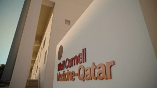 卡塔尔排名前十的大学(世界大学排名前100名一览表)插图11 卡塔尔排名前十的大学(世界大学排名前100名一览表)插图11