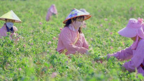 腾冲美容排名前十的(山东美容排名前十)插图5