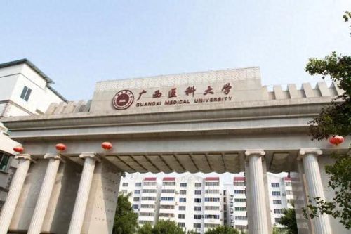 广西学院排名前十(桂林医学院更名失败了吗)插图4 广西学院排名前十(桂林医学院更名失败了吗)插图4