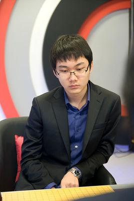 围棋职业机构排名前十(十大围棋机构排名)插图1 围棋职业机构排名前十(十大围棋机构排名)插图1