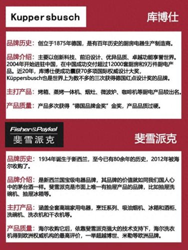 国际十大厨电品牌排行榜(公认的十大厨电品牌)插图5
