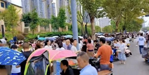 成都公立小学排名前十(成都小学五朵金花)插图1 成都公立小学排名前十(成都小学五朵金花)插图1