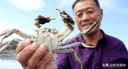 阳澄湖十大名蟹排行榜最新(阳澄湖1998蟹卡多少钱)插图10 阳澄湖十大名蟹排行榜最新(阳澄湖1998蟹卡多少钱)插图10