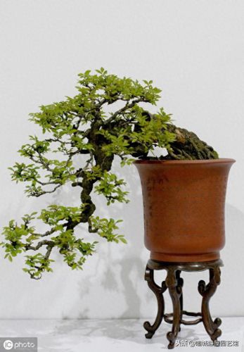 益胶泥十大牌子排行榜图片(胶泥十大品牌多少一包)插图1