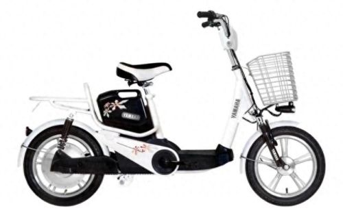 广州十大电动车企业排行榜(国内电动车企排行)插图5