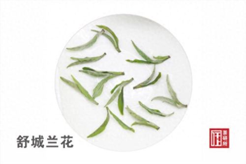 安徽特色茶叶排名前十(安徽猴坑茶叶)插图5 安徽特色茶叶排名前十(安徽猴坑茶叶)插图5