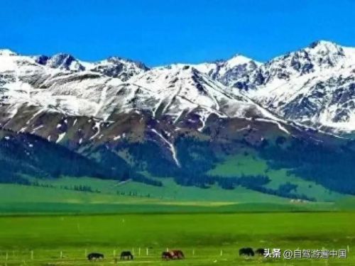 新疆十大最美大峡谷排行榜(新疆值得去的大峡谷)插图6