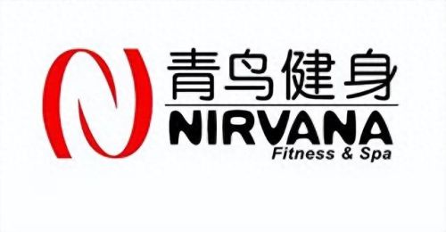 进口健身设备十大排行榜(健身器材国际排行榜)插图7 进口健身设备十大排行榜(健身器材国际排行榜)插图7