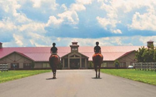 马术运动名校排名前十(马术专业大学排名)插图18 马术运动名校排名前十(马术专业大学排名)插图18