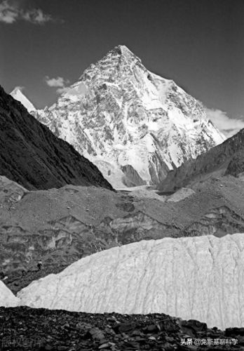 珠峰高度排名前十(哪种鸟飞行高度可以逾越珠峰)插图2 珠峰高度排名前十(哪种鸟飞行高度可以逾越珠峰)插图2