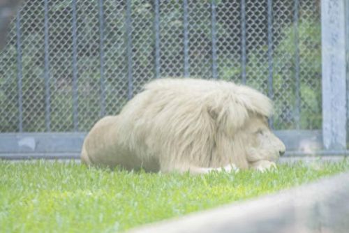 广州亲子乐园十大排行榜(广州融创乐园门票价目表)插图6