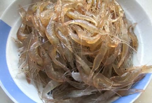 十大好吃的海鲜品种排行榜(十大海鲜主播排名)插图5