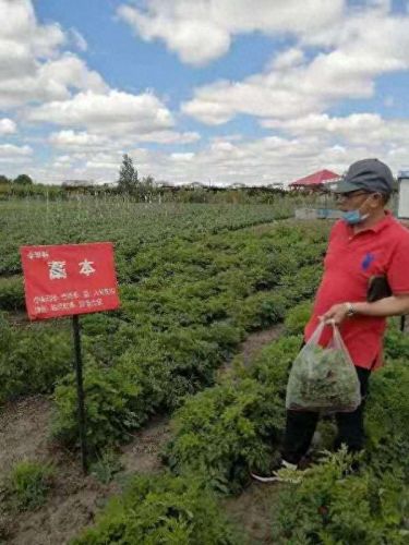 香坊区生态农场排名前十(成都生态农场排行榜)插图21 香坊区生态农场排名前十(成都生态农场排行榜)插图21
