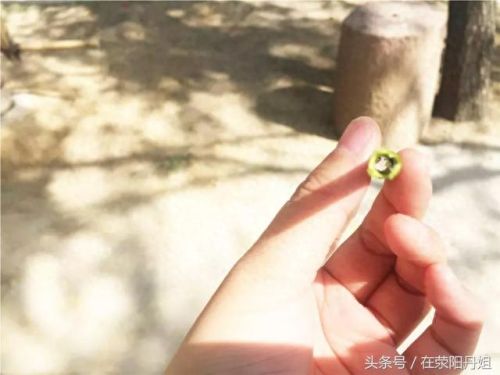 荥阳最美水库排名前十(荥阳水库图片)插图21 荥阳最美水库排名前十(荥阳水库图片)插图21