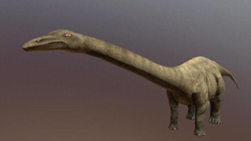 十大巨兽排行榜第6位(各大巨兽排行榜)插图3 十大巨兽排行榜第6位(各大巨兽排行榜)插图3