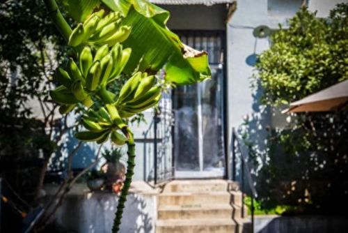 临沂十大面条店排行榜图片(临沂面条)插图10