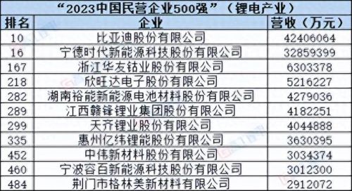 美国前十电池公司排名(世界十大电池商排名)