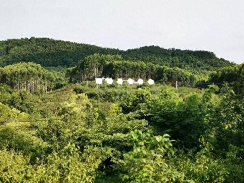 德阳别墅名宿排名前十(德阳最好的民宿排名)插图14 德阳别墅名宿排名前十(德阳最好的民宿排名)插图14