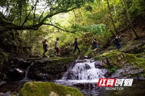 沅江订婚酒店排名前十(呼市订婚酒店排名)插图10