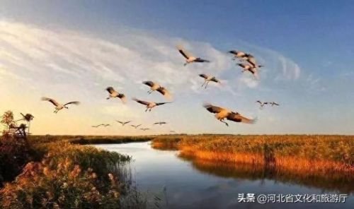 河北十大网红城市排行榜(河北网红小镇在哪)插图1 河北十大网红城市排行榜(河北网红小镇在哪)插图1