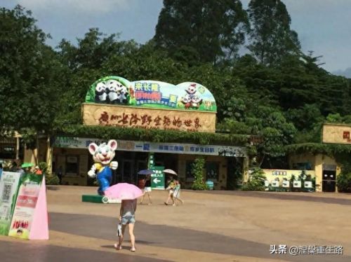 排名前十动物园(国内最大的动物园排名)插图3