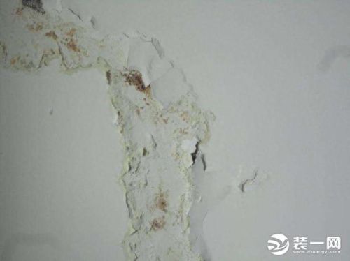 墙面防碱剂十大品牌排行榜(墙面反碱用哪个品牌)插图 墙面防碱剂十大品牌排行榜(墙面反碱用哪个品牌)插图