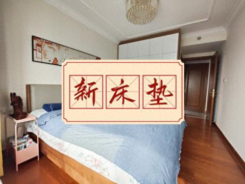 棕垫床垫十大排行榜(为什么不建议使用棕垫)插图