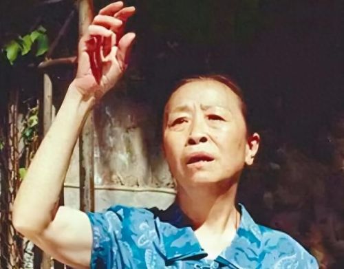 陕西十大苦情催泪剧排行榜(苦情催泪知青下乡电视剧大全)插图7