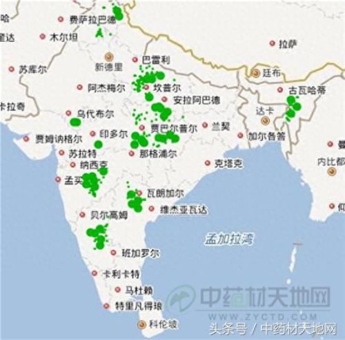 全球薄荷产量排名前十(薄荷全世界一年产量有多少)插图6