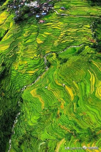 柳州十大摄影师排行榜图片(柳州全家福摄影前十名)插图7