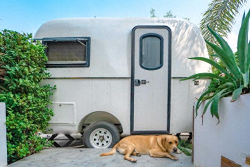 北海主食餐厅排名前十(北海兰纳餐厅)