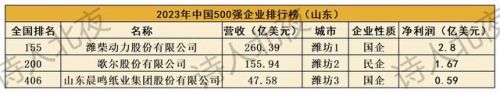 山东十大企业排行榜最新名单(山东芯片企业排名)插图4
